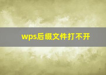 wps后缀文件打不开