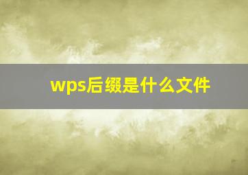 wps后缀是什么文件