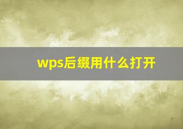 wps后缀用什么打开