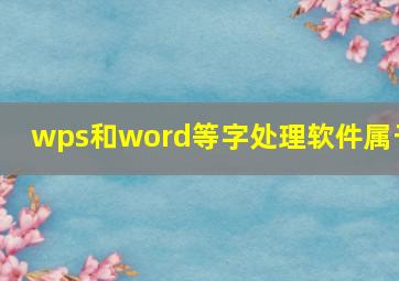 wps和word等字处理软件属于