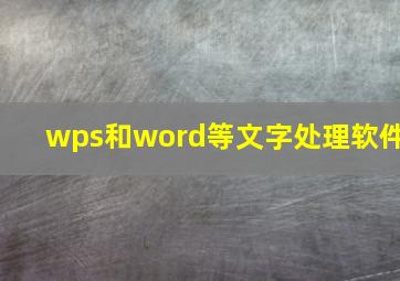 wps和word等文字处理软件