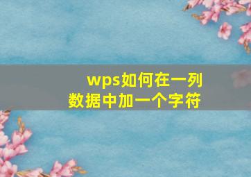 wps如何在一列数据中加一个字符