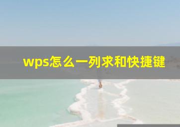 wps怎么一列求和快捷键