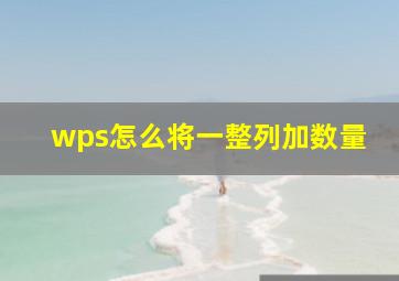 wps怎么将一整列加数量