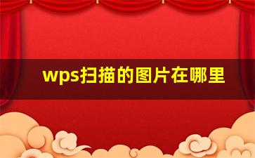 wps扫描的图片在哪里