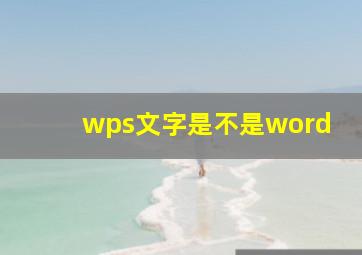 wps文字是不是word