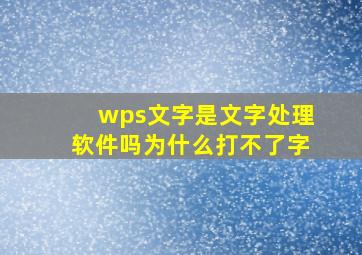 wps文字是文字处理软件吗为什么打不了字