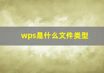 wps是什么文件类型