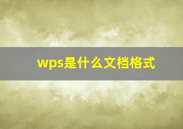 wps是什么文档格式