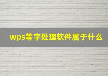 wps等字处理软件属于什么