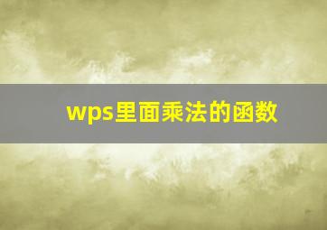 wps里面乘法的函数