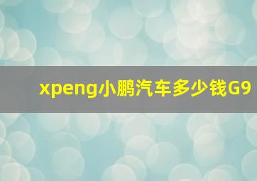 xpeng小鹏汽车多少钱G9