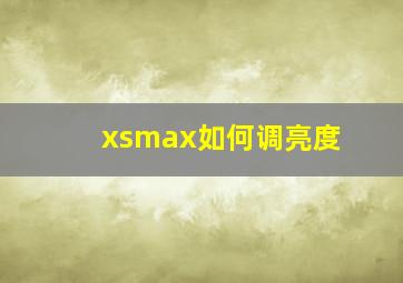 xsmax如何调亮度