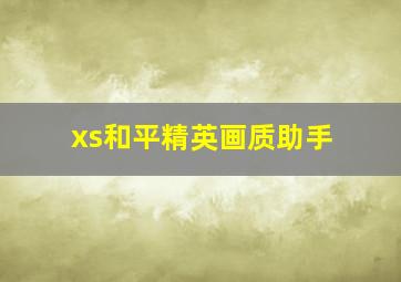 xs和平精英画质助手