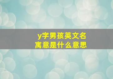 y字男孩英文名寓意是什么意思