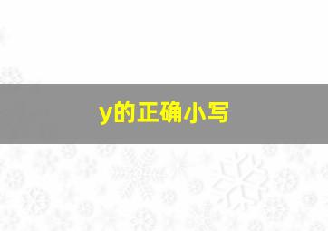 y的正确小写