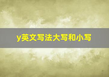 y英文写法大写和小写