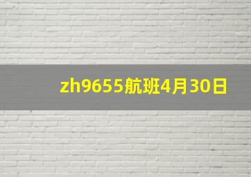 zh9655航班4月30日