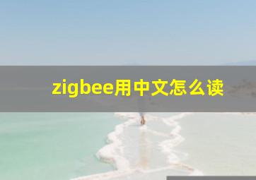 zigbee用中文怎么读