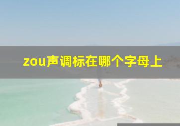 zou声调标在哪个字母上