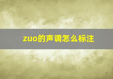 zuo的声调怎么标注