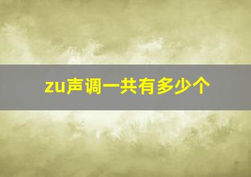 zu声调一共有多少个