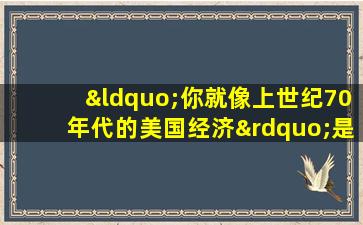 “你就像上世纪70年代的美国经济”是什么意思