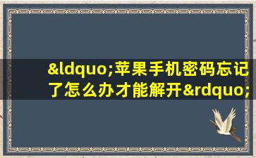 “苹果手机密码忘记了怎么办才能解开”