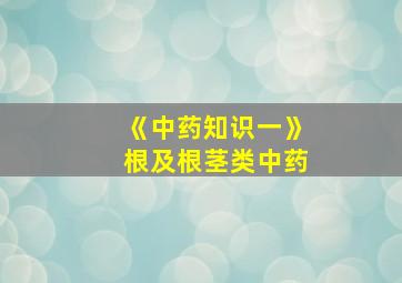 《中药知识一》根及根茎类中药