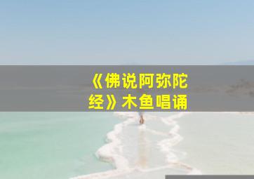 《佛说阿弥陀经》木鱼唱诵