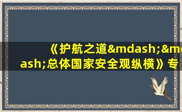 《护航之道——总体国家安全观纵横》专题宣传片观后感