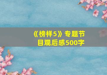 《榜样5》专题节目观后感500字