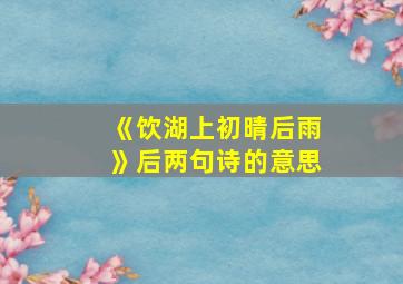 《饮湖上初晴后雨》后两句诗的意思