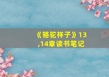 《骆驼祥子》13,14章读书笔记