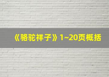 《骆驼祥子》1~20页概括