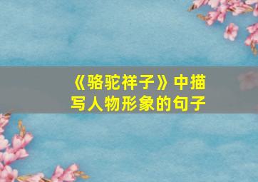 《骆驼祥子》中描写人物形象的句子