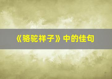 《骆驼祥子》中的佳句