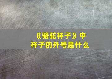 《骆驼祥子》中祥子的外号是什么