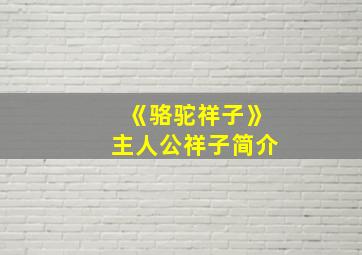 《骆驼祥子》主人公祥子简介