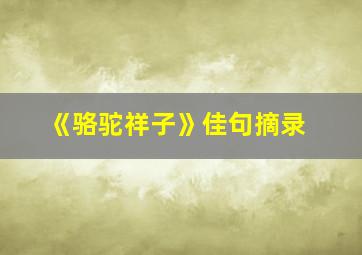 《骆驼祥子》佳句摘录