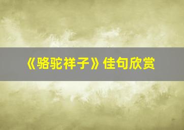 《骆驼祥子》佳句欣赏