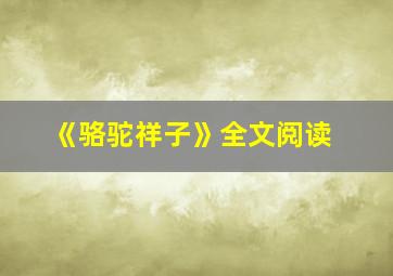 《骆驼祥子》全文阅读