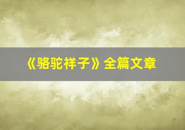 《骆驼祥子》全篇文章