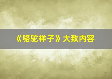 《骆驼祥子》大致内容