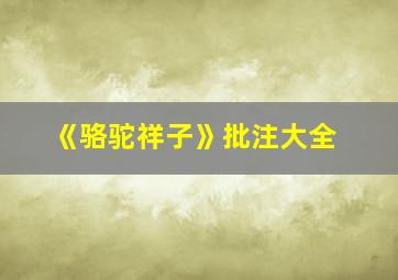 《骆驼祥子》批注大全