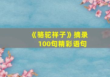 《骆驼祥子》摘录100句精彩语句