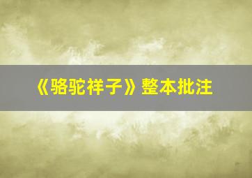 《骆驼祥子》整本批注