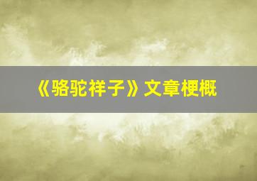 《骆驼祥子》文章梗概