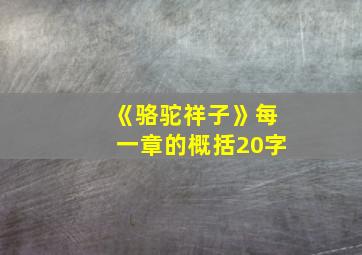 《骆驼祥子》每一章的概括20字