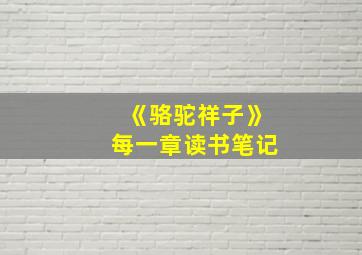 《骆驼祥子》每一章读书笔记